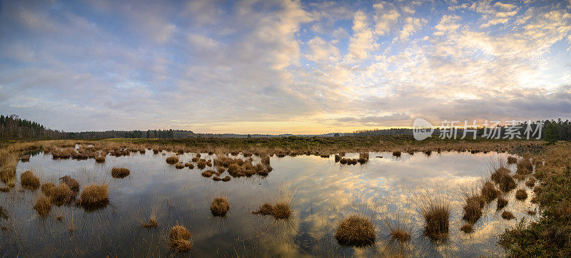 冬天黄昏时分，在Veluwe, Renderklippen沼地上的湖